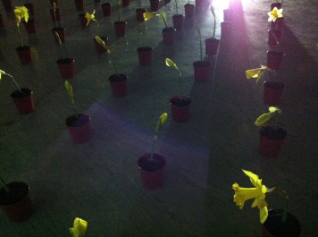 1AU to Nourishment (detail)