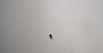 the diameter of literally everything before the big bang 1